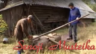 Dokumentinis filmas apie senovinius kaimo amatus Musteikos kaime
