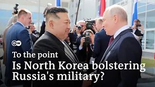 Ukraine’s counteroffensive: Is North Korea bolstering Russia’s military? | To the point