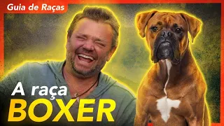 TUDO SOBRE A RAÇA BOXER! | RICHARD RASMUSSEN