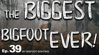 My Bigfoot Sighting Episode 39 - The Biggest Bigfoot Ever!