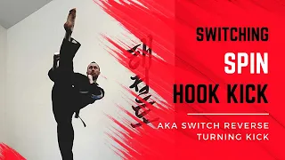 Switch Spin Hook Kick