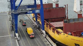 Effortless Unloading: Automatic Gantry Crane in Action on a Modern Container Ship