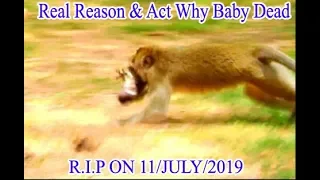 NO LIFE By Big Monkey Santra Do On Poor Baby Daniela | Million Sad Baby Pass Away Not Come Back