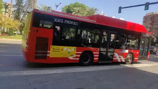 Murcia autobuses y tranvía Octubre 2023