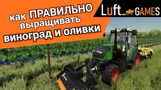 Виноград и Оливки - подробный гайд | Farming Simulator 22