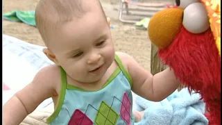 Elmo's World: The Beach (DVD Rip)