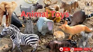 Zoo Animals |Farm Animals Toys | Sea Animals | Wild Animals