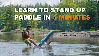 How to SUP - The Beginner's Quick Start Guide to Paddle Boarding