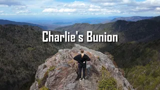 A Smoky Mountain Hike | Charlie's Bunion
