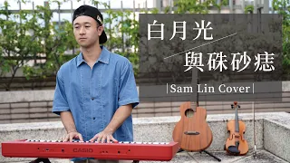 《白月光與朱砂痣 + 銀河與星斗》【Sam Lin Cover】