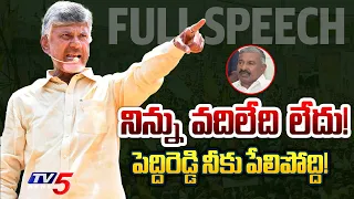 TDP Chief Chandrababu Naidu Full Speech at Punganur | TDP Prajagalam Public Meeting | TV5 News