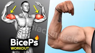 How To Build Your biceps workout Fast ⏱ (8 Effective Exercises)