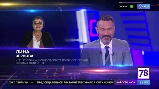 78 канал. Лина Зернова о несанкционированных свалках в Красносельском районе Санкт-Петербурга.