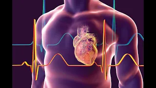 Chapter 17 EMT B Cardiovascular Emergencies