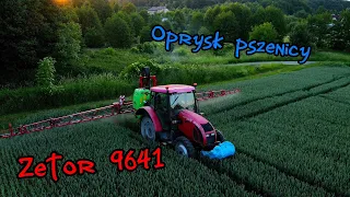 Oprysk pszenicy / Zetor 9641 w akcji