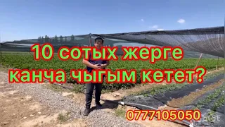 10 сотых жерге канча чыгым кетет?