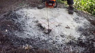 How To Make A Tree Stump Disappear In Just A Few Minutes
