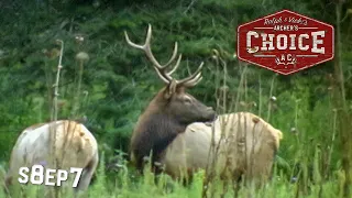 Archer's Choice - Public land ELK Mania // S8: Episode 7