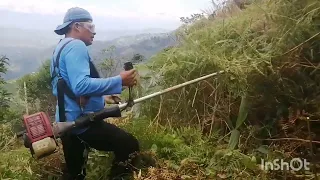 tumbando rastrojeras con guadaña maruyama.