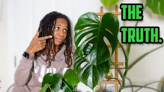The Truth About HOUSEPLANTS + Explaining LIGHTING For Plants