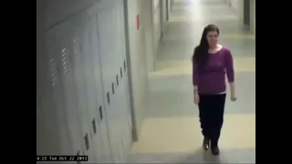 CCTV Footage of Colleen Ritzer's Last Moments