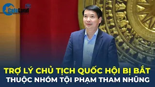 Trợ lý Chủ tịch Quốc hội Phạm Thái Hà bị bắt thuộc nhóm TỘI PHẠM THAM NHŨNG | CafeLand