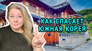 Как спасает людей корейская волна