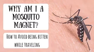 Dealing with Mosquito Bites | 10 Tips to Protect Yourself While Traveling