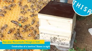 Construction of a beehive | THISA