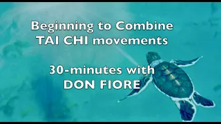 Combining TAI CHI Moves - with Don Fiore