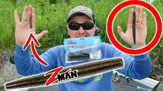 Fishing with the World's BIGGEST Ned Rig - Zman GIANT TRD (Does Size Matter?)