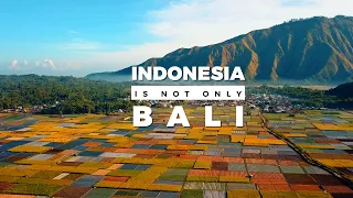 The Reasons behind Lomboks popularity - Travel Documentary (Indonesia is not only Bali, Ep. 03)