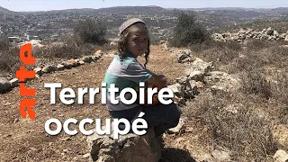 Israël : les routes de l’annexion | ARTE Reportage