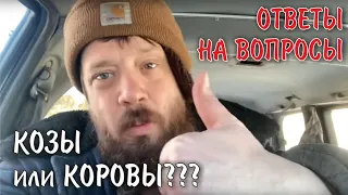 Сено! Козы! Коровы! Огород! Понедельник с подписчиками в четверг!