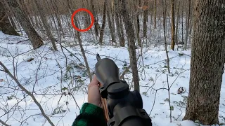 Tracking and Shooting a HUGE 10 POINT Big Woods Buck on Snow! | Public Land | Mountain Hunting