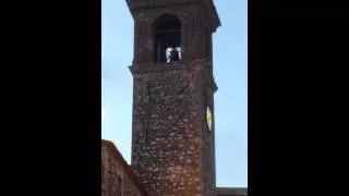 Distesa a 3 campane (Plenum) Collegiata di Santa Maria Assunta (Lugnano in Teverina-TR)