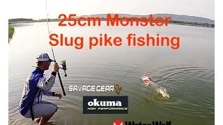 25 cm Monster Slug Pike fishing Savage Gear