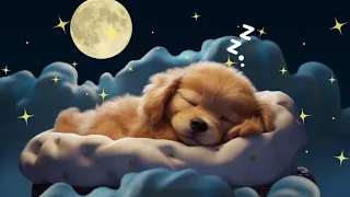 Baby Sleep Music 💛 Gentle Lullabies Bring Quick Sleep 💤 Brahms' Harmony 🌙 Soft Melodies for Bedtime