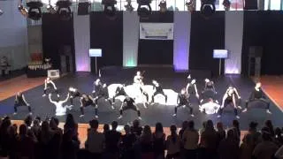 Free Flow Studio - Dance Festival Golden Cup 2013 - Show Dance Adults Group - Final