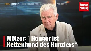 Mölzer bei "Das Duell": „Hanger ist Kettenhund des Bundeskanzlers“ | krone.tv DAS DUELL