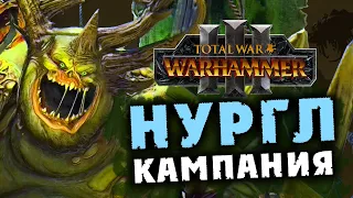 Нургл - кампания Ку'Гата в Total War Warhammer 3 стрим на русском