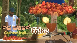 Making cashew fruit vine at srilankan village | cashew cultivation