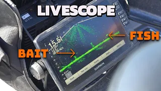 Using Garmin Livescope to Target Walleyes