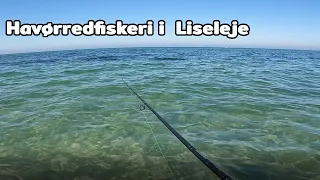 Havørredfiskeri i Liseleje 🐟|  Forårsfiskeri 2022 efter havørred