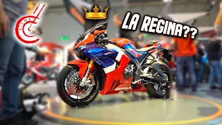 LA REGINA di Eicma 2019? 👑MOTO e novità