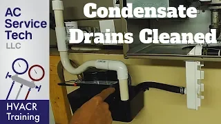 Condensate Drain Traps & Lines Cleaned on AC and Gas Furnace!