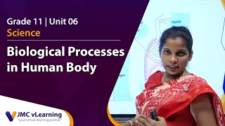 Grade 11 Science Unit 06  - Biological Processes in Human Body