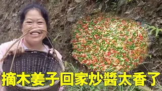 小曾帶老羅去山裡找野生木薑子，一會兒就摘滿一籃，帶回家做醬配上鯰魚太香了！ 【侗家老羅】