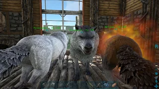 ARK: Survival Evolved Прокачиваем Аргентависа и ждем волчат )