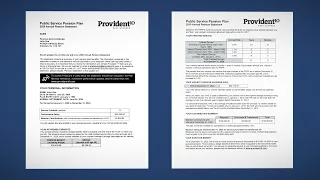 Understanding your 2020 annual pension statement